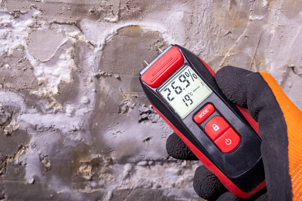 Best Office Mold Removal Services  in Wollochet, WA
